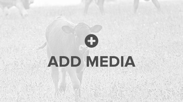 Cattlemen's College Celebrates 25th Anniversary at 2018 Cattle Industry Convention & NCBA Trade Show