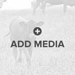 Add Image Placeholder Square